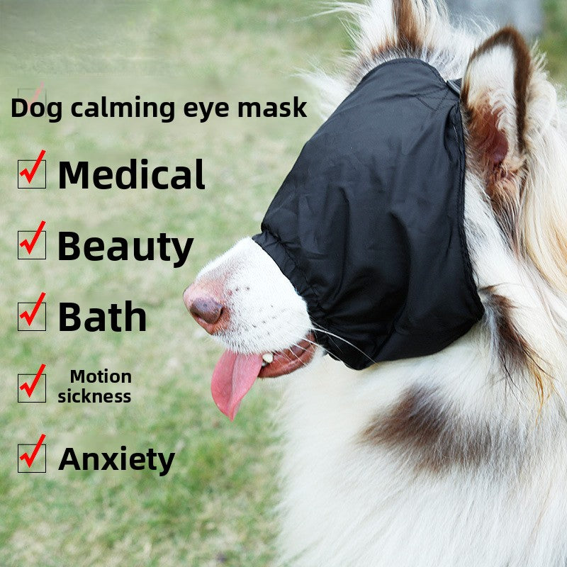 7723a4b2-7540-4ef1-8c9c-512192674aa1