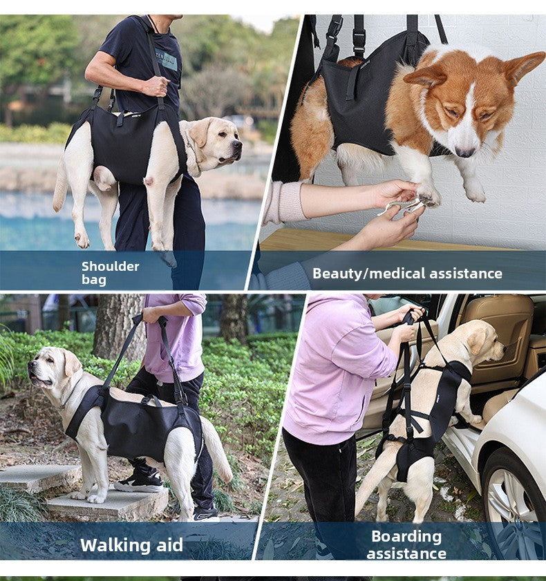 53ce8adf-ec2b-4ea0-9933-216beb90600e