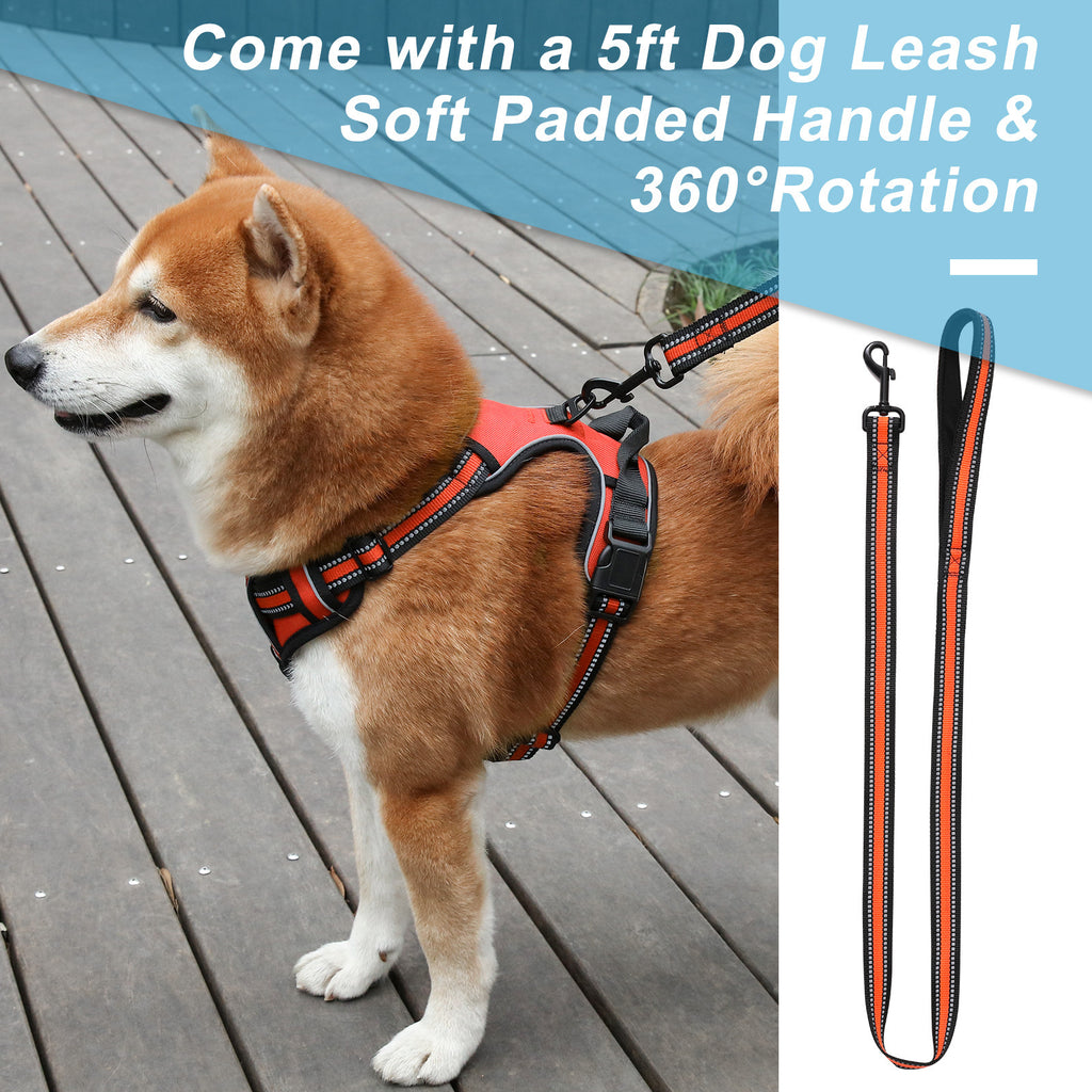 4f89a56d-edb5-4d32-a1f0-93b47f3e2f12