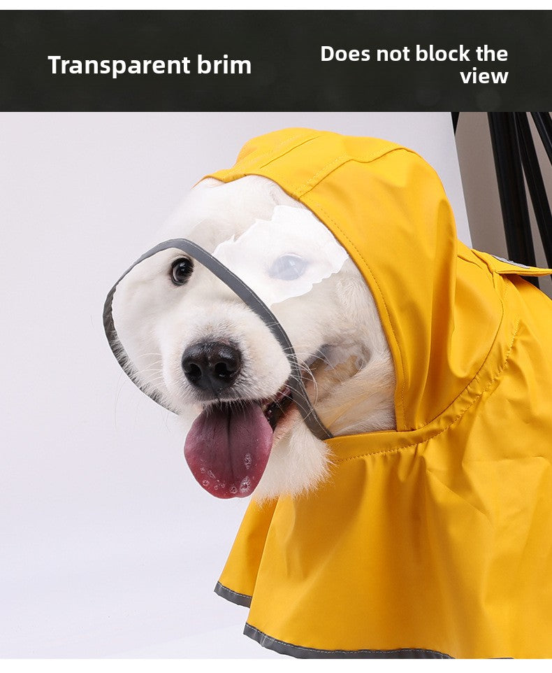 c48584cd-b17c-453d-bb2c-adeafcc52404