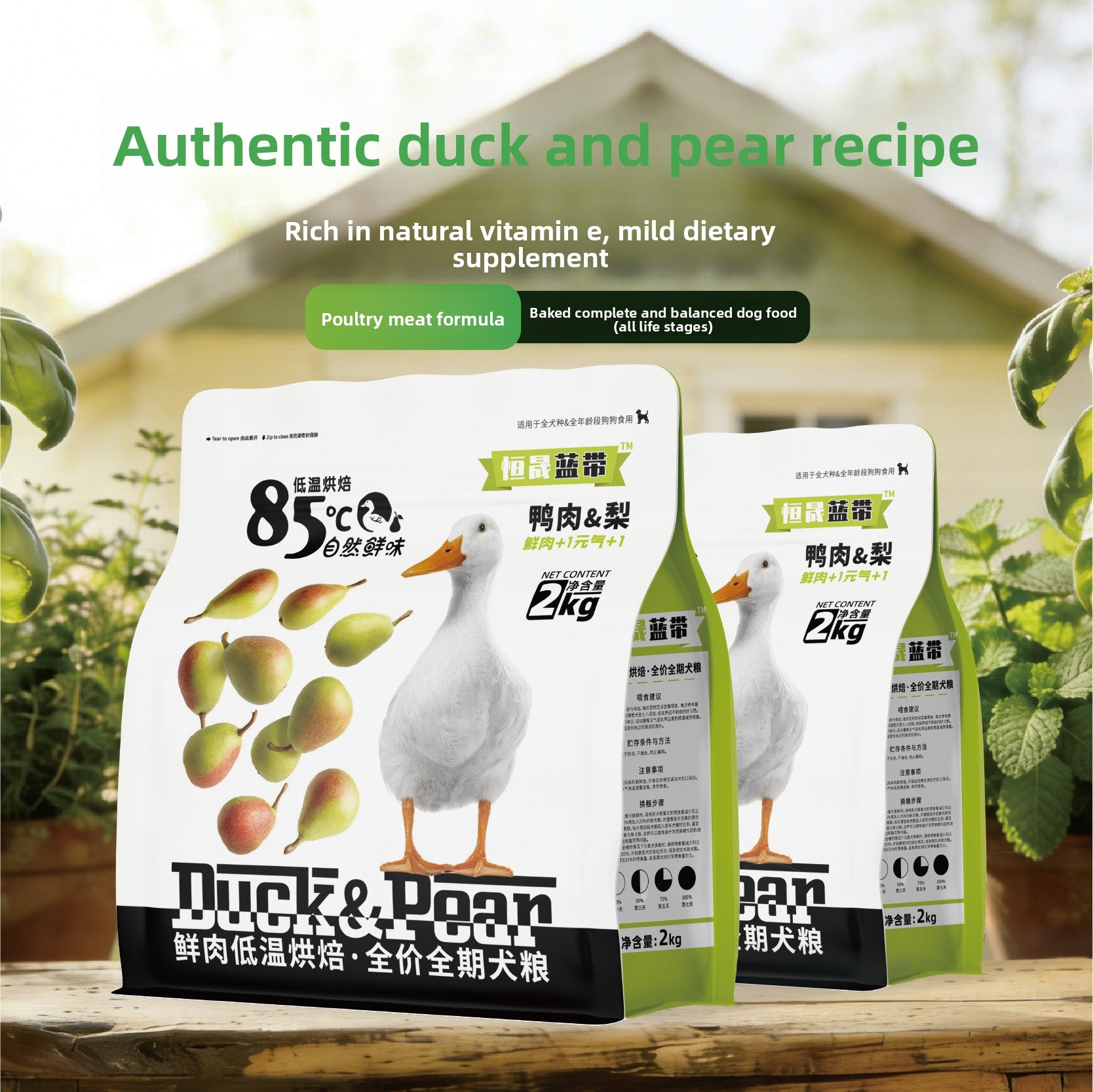 71a9c949-75e8-4790-8613-401bc679294e