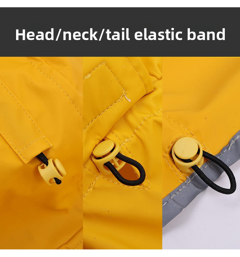 e48ee504-53e7-499c-9668-80700bf38ff6