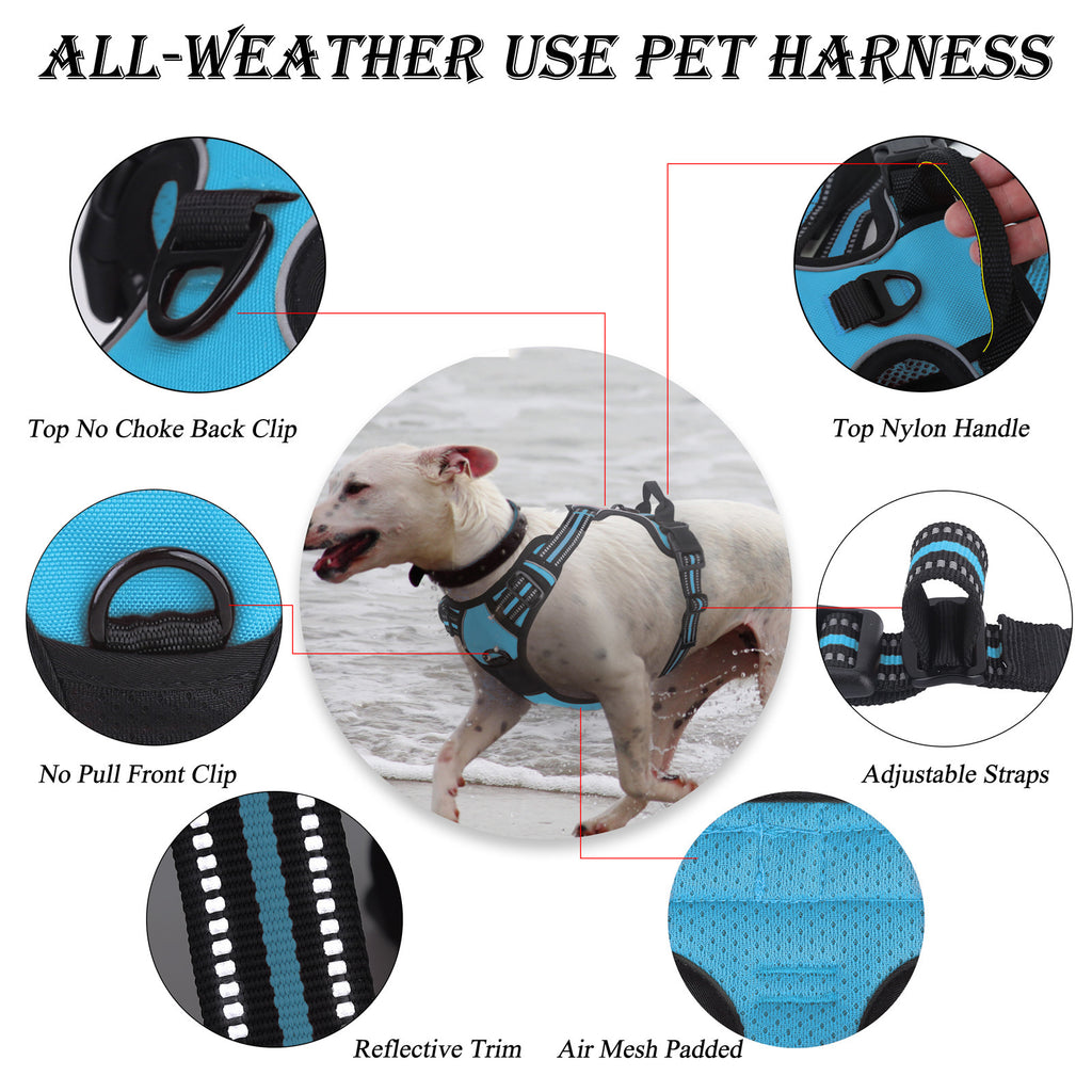 ab05a9a0-636e-4139-ab93-a3d15267b365