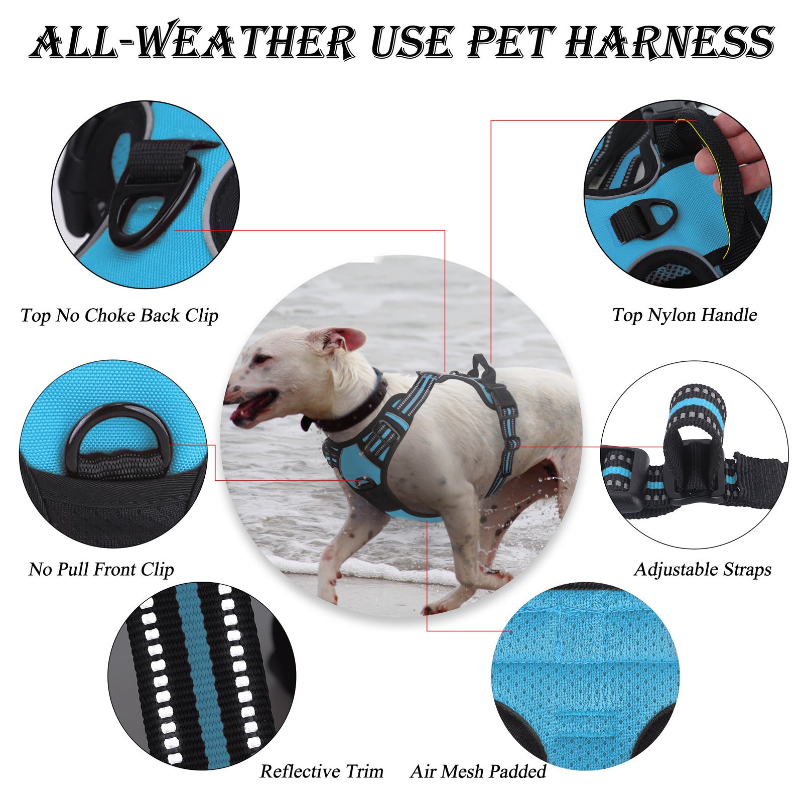 ab05a9a0-636e-4139-ab93-a3d15267b365