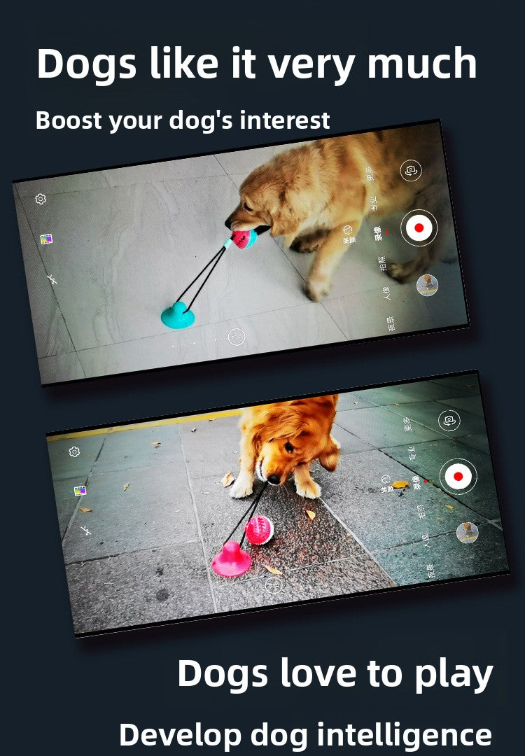 85cde7aa-bc86-4ac7-84cc-9fea3ae4563e