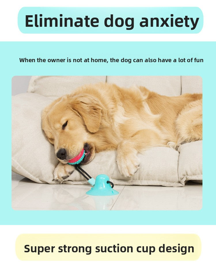 00ec5211-9435-446b-a917-11e646001e24