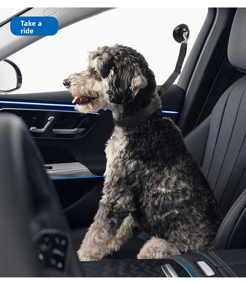 10d4ef07-8766-4ee3-8398-38b5c32dbbbf