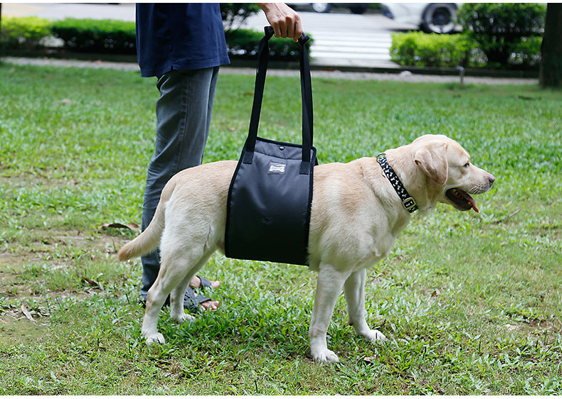 d922ed30-c22e-4d2a-8fd9-4047c189f600