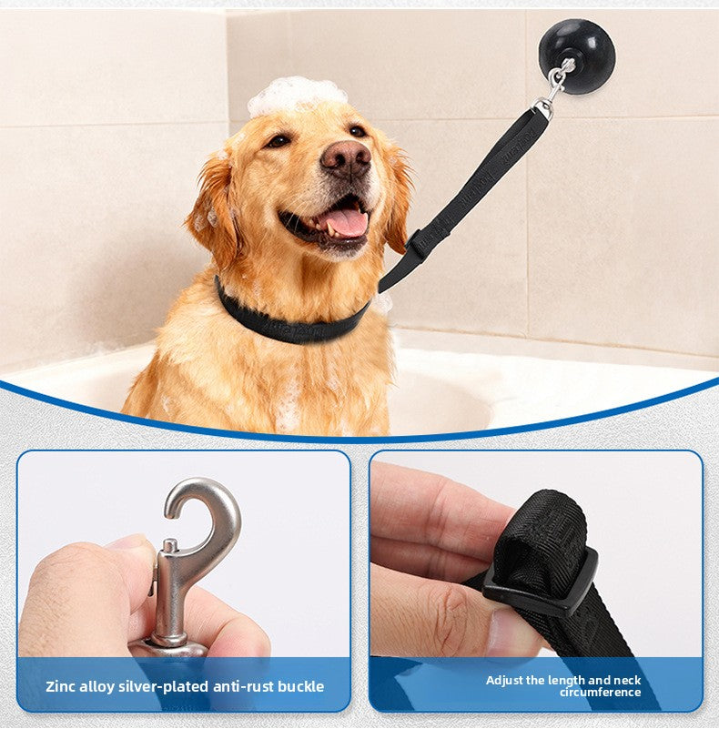 e0060f55-9046-42c3-92de-212c8c6c0f71