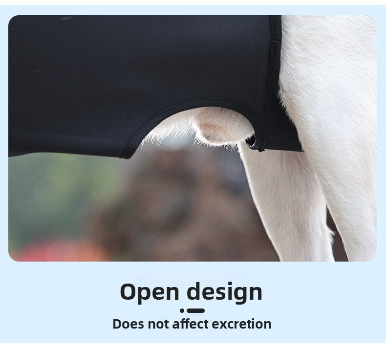 977ba4fb-58e8-45ed-a7ec-d1a0224f9169