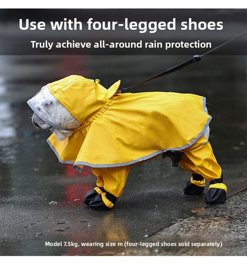 897a5b83-e594-4025-a541-912eb1a11d77