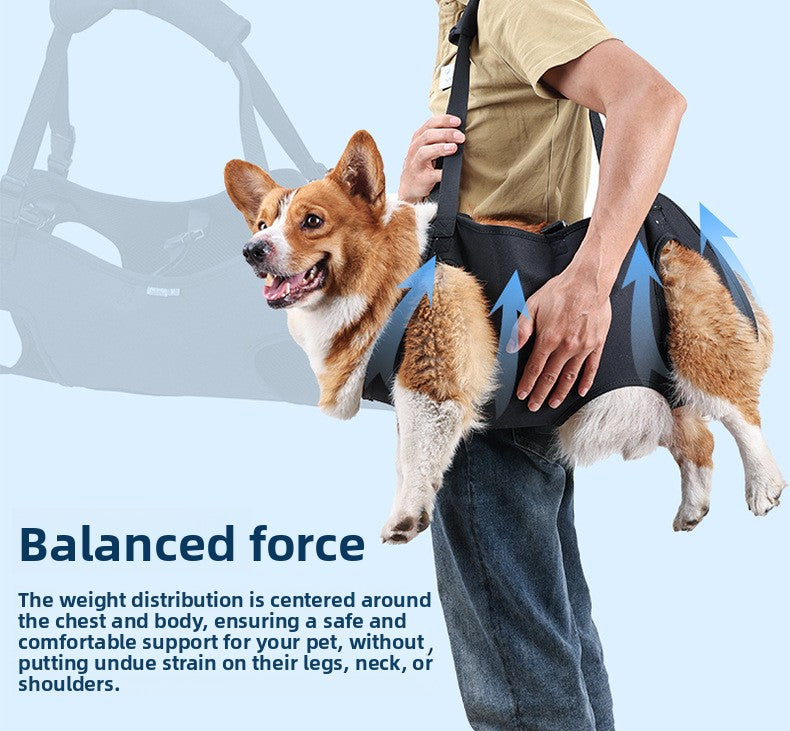 1f5e7716-3424-4599-a84b-c8686a2abc2b