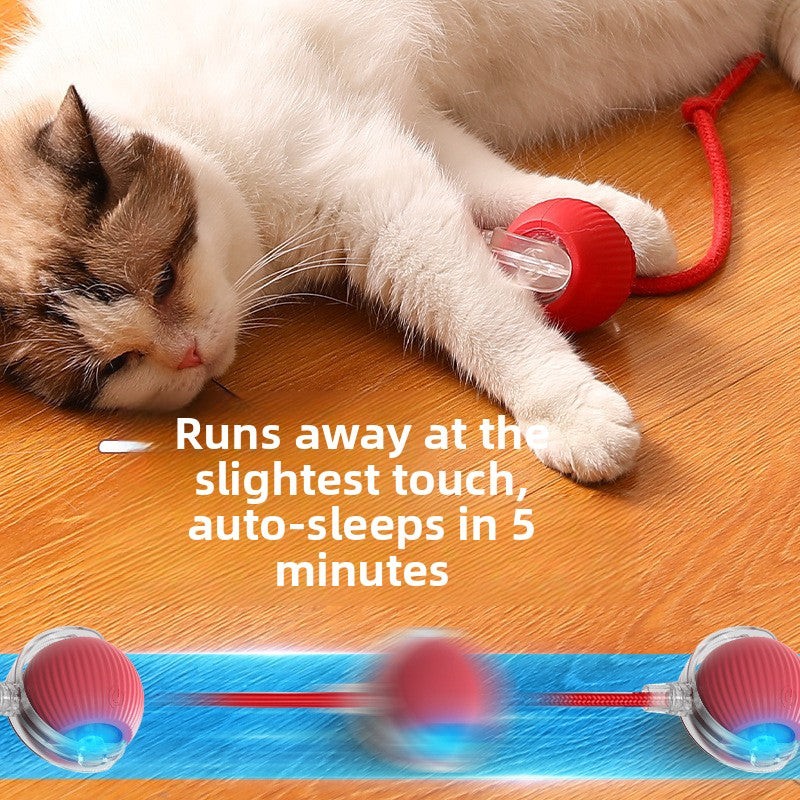 ee3bd889-a981-4e2d-9fa0-669d62733294