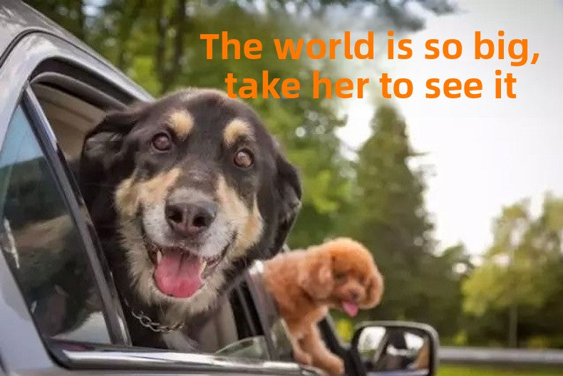 fdab7ba0-6a11-4ecb-a747-010eedbae706