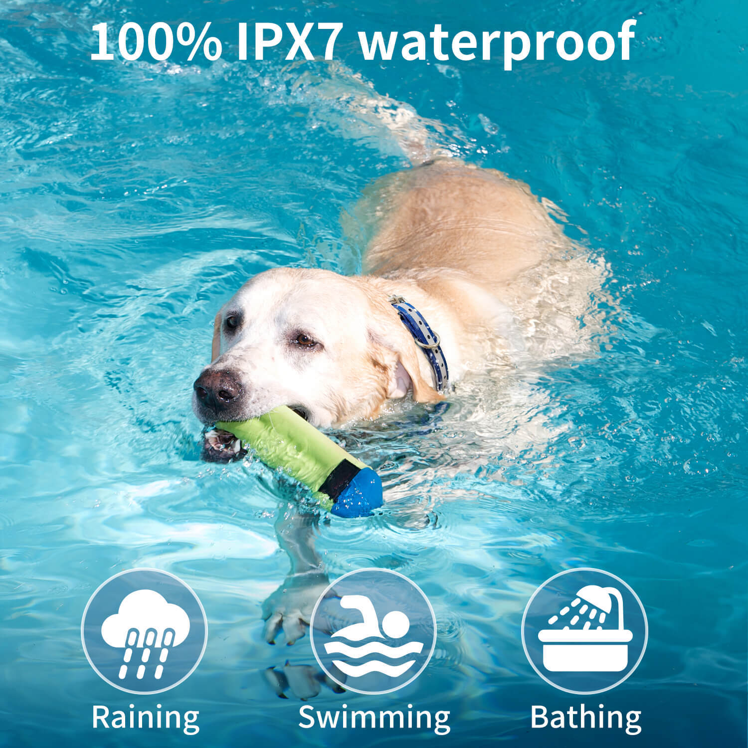 c8a7fe51-8ef4-445a-b1d1-b8b330aa514c