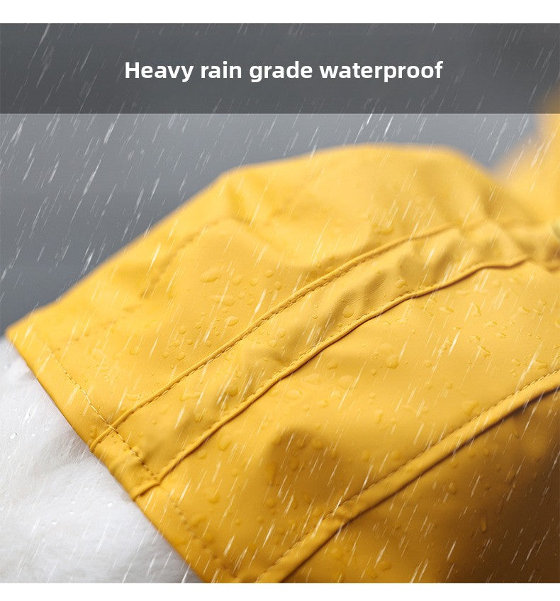 2dd68ec5-9fd4-4fcf-9f48-c72a5e36a1fb