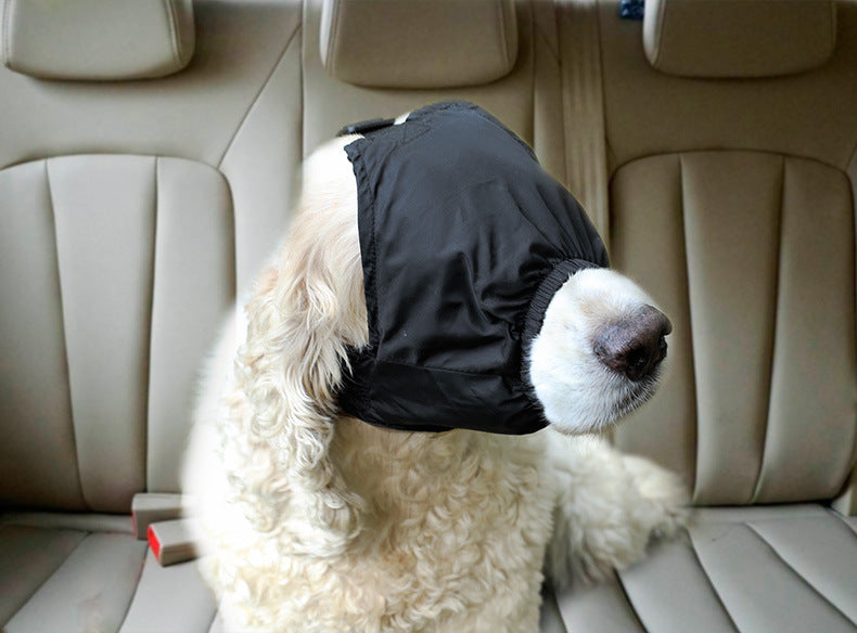 29a71138-51a9-44d5-8f91-a252a07094c3