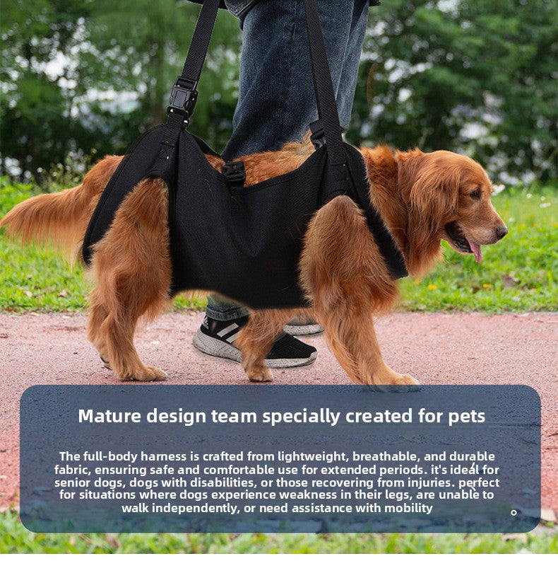 1a79b673-6a4f-4f77-92f7-ea1841ed0983