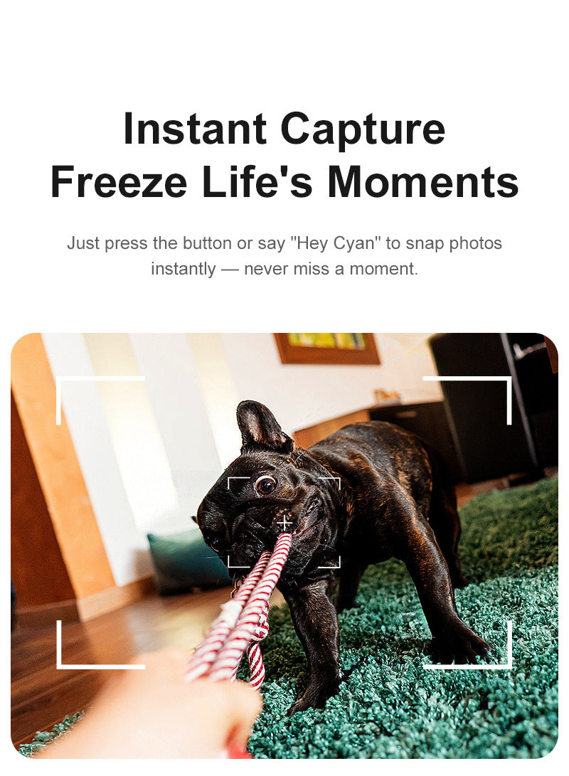 877e1c89-1e8d-4b21-aaff-08f44449c3b9