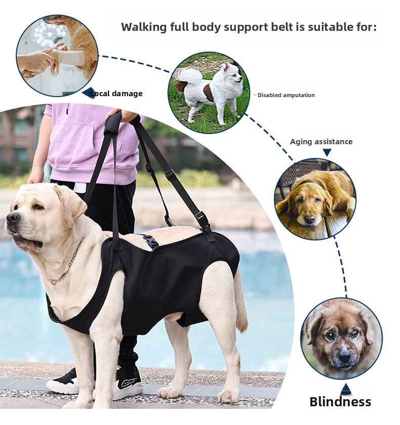 30958cb8-f0d5-45c6-9d64-7399374ddb16