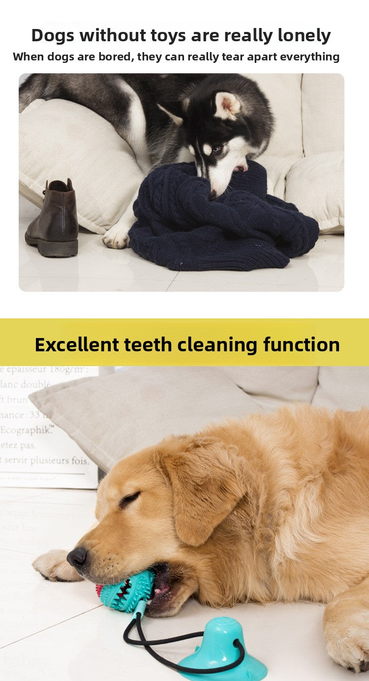 90d18b61-4223-44e4-a6c6-f23de9b51c72