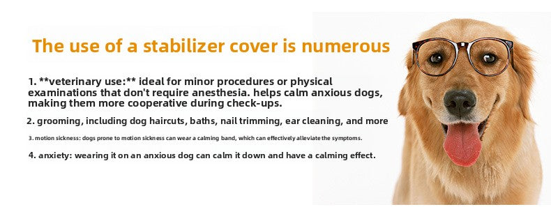 a6178d01-5731-4455-aa46-c78b585756e3