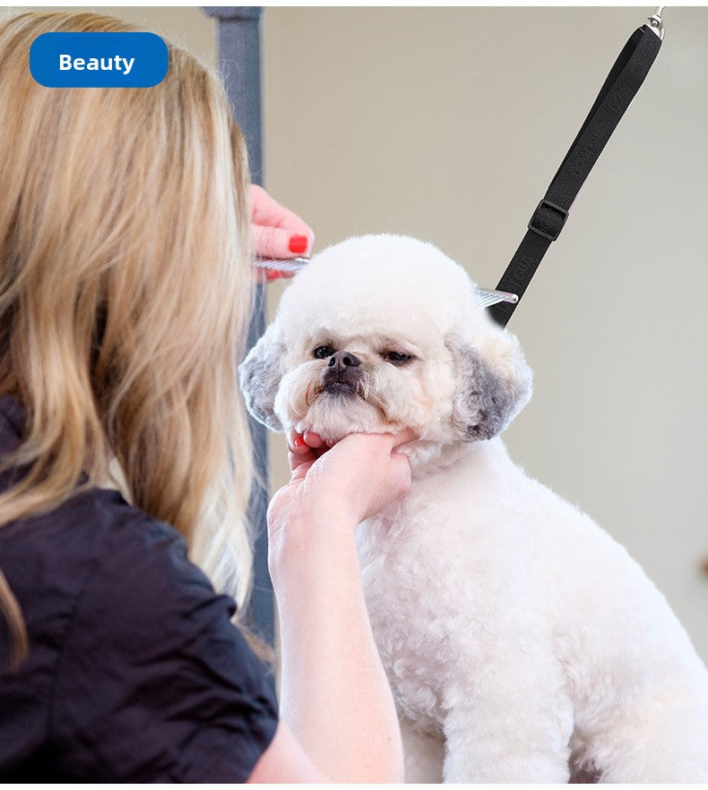 11fd59ea-83e1-46eb-89e4-f9182b5e1ee0