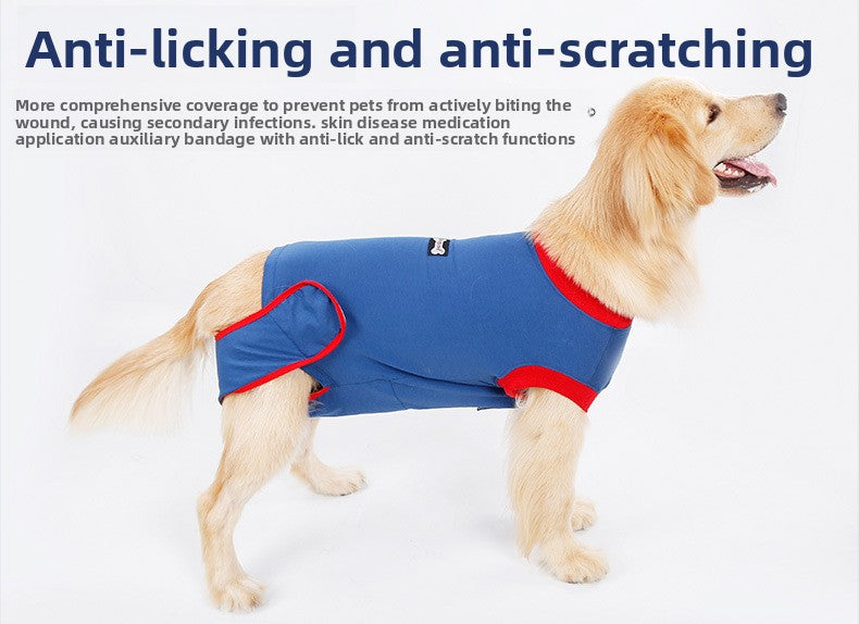 7b06d2f8-8cbe-4420-b641-dc300d7eba9a