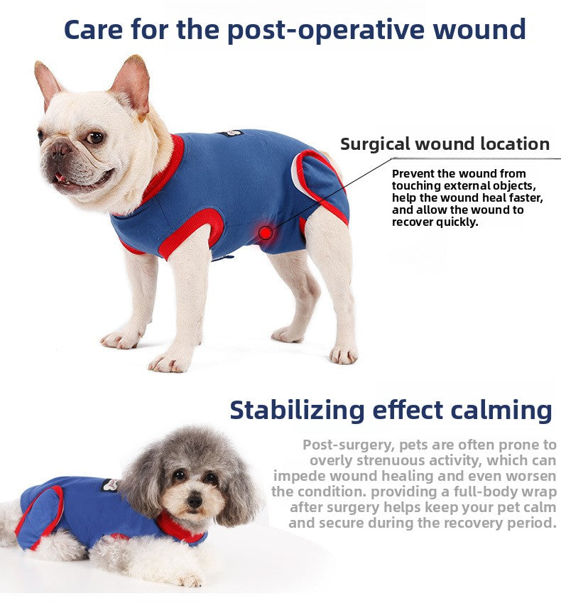 901b1367-3a4e-4671-951a-e6e7b032f73f